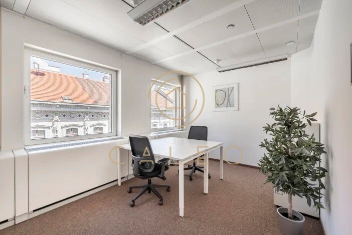 Bürokomplex zur Miete provisionsfrei 5.000 m²<br/>Bürofläche ab 1 m²<br/>Teilbarkeit Wien 1010