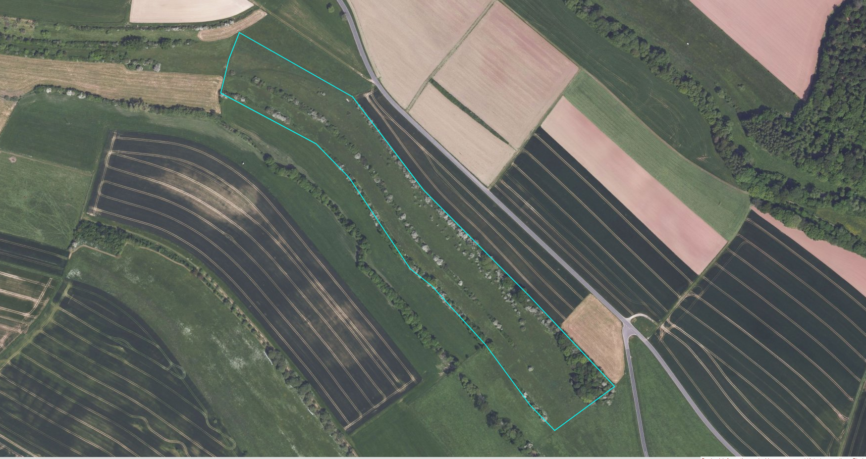 Landwirtschaftliche Fläche zum Kauf 79.000 € 69.879 m²<br/>Fläche Gransdorf 54533