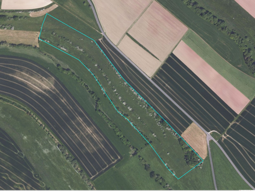 Landwirtschaftliche Fläche zum Kauf 79.000 € 69.879 m² Gransdorf 54533