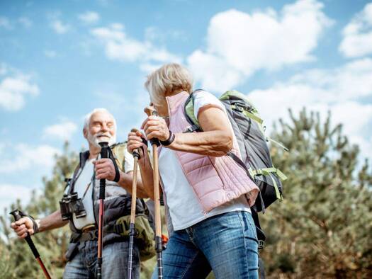 Wohnung zum Kauf provisionsfrei 385.000 € 2 Zimmer 54 m² frei ab 01.10.2026 Mariabrunn Eriskirch 88097