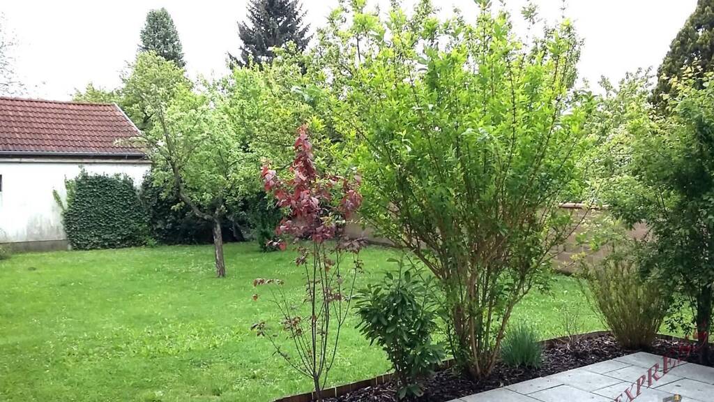 Sonstiges zum Kauf als Kapitalanlage geeignet 1.290.000 € 300 m² 1.074 m² Grundstück Wimpassing an der Leitha 2485