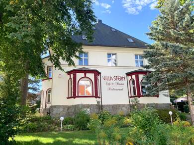 Villa zum Kauf 378.000 € 17 Zimmer 622 m² 3.209 m² Grundstück Neukirchen Neukirchen/Erzgebirge 09221