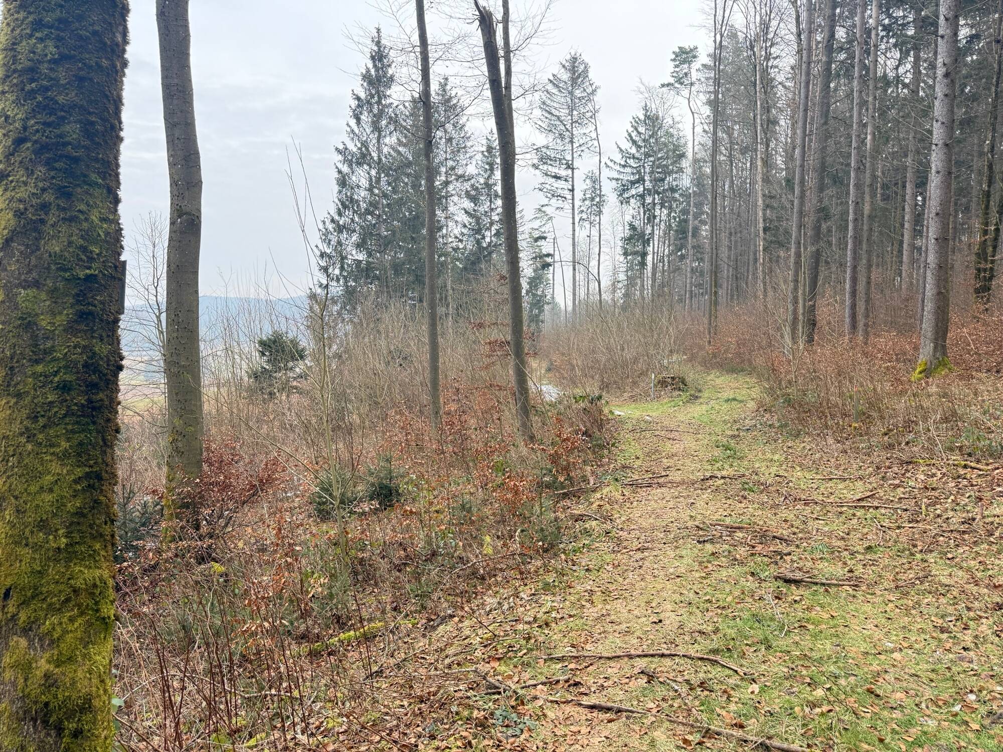 Land-/Forstwirtschaft zum Kauf - Ansicht 6