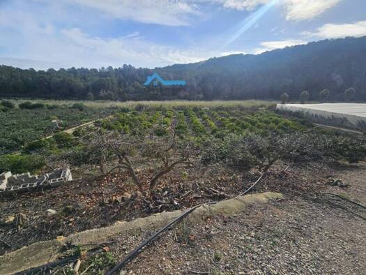 Acker-/Waldstück zum Kauf 270.000 € Callosa d'en Sarrià 03510