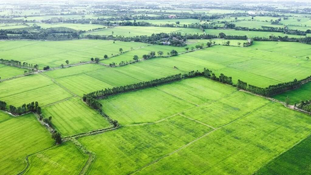 Grundstück zum Kauf provisionsfrei 60.000 € 710 m² Grundstück Neulindenau Leipzig 04179