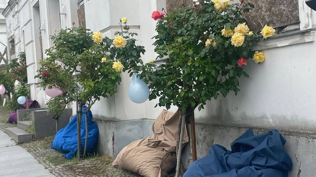 Wohnung zum Kauf provisionsfrei als Kapitalanlage geeignet 304.945 € 2 Zimmer 43 m² Putbus 18581