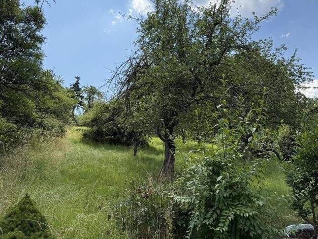 Freizeitgrundstück zum Kauf 17.500 € 520 m² Grundstück Geradstetten Remshalden 73630