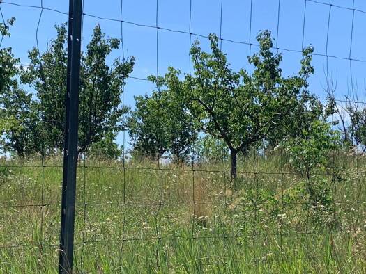 Land-/Forstwirtschaft zum Kauf 30.000 m² Grundstück Prottes 2242