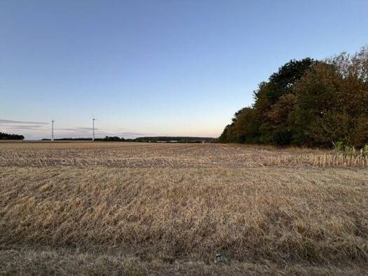 Land-/Forstwirtschaft zum Kauf 13.621 m² Grundstück Wilhermsdorf Wilhermsdorf 91452
