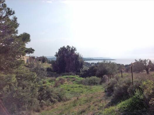 Land-/Forstwirtschaft zum Kauf 400.000 € 12.000 m² Grundstück Peloponnes