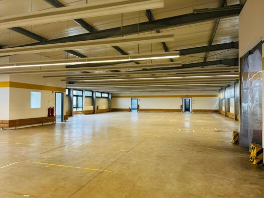 Lagerhalle zur Miete 5.534 € 706 m² Lagerfläche Zweibrücken 66482