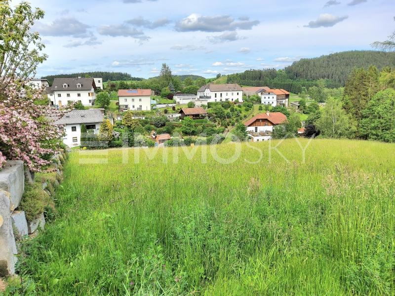 Grundstück zum Kauf 98.000 € 1.050 m²<br/>Grundstück Reichenthal 4193