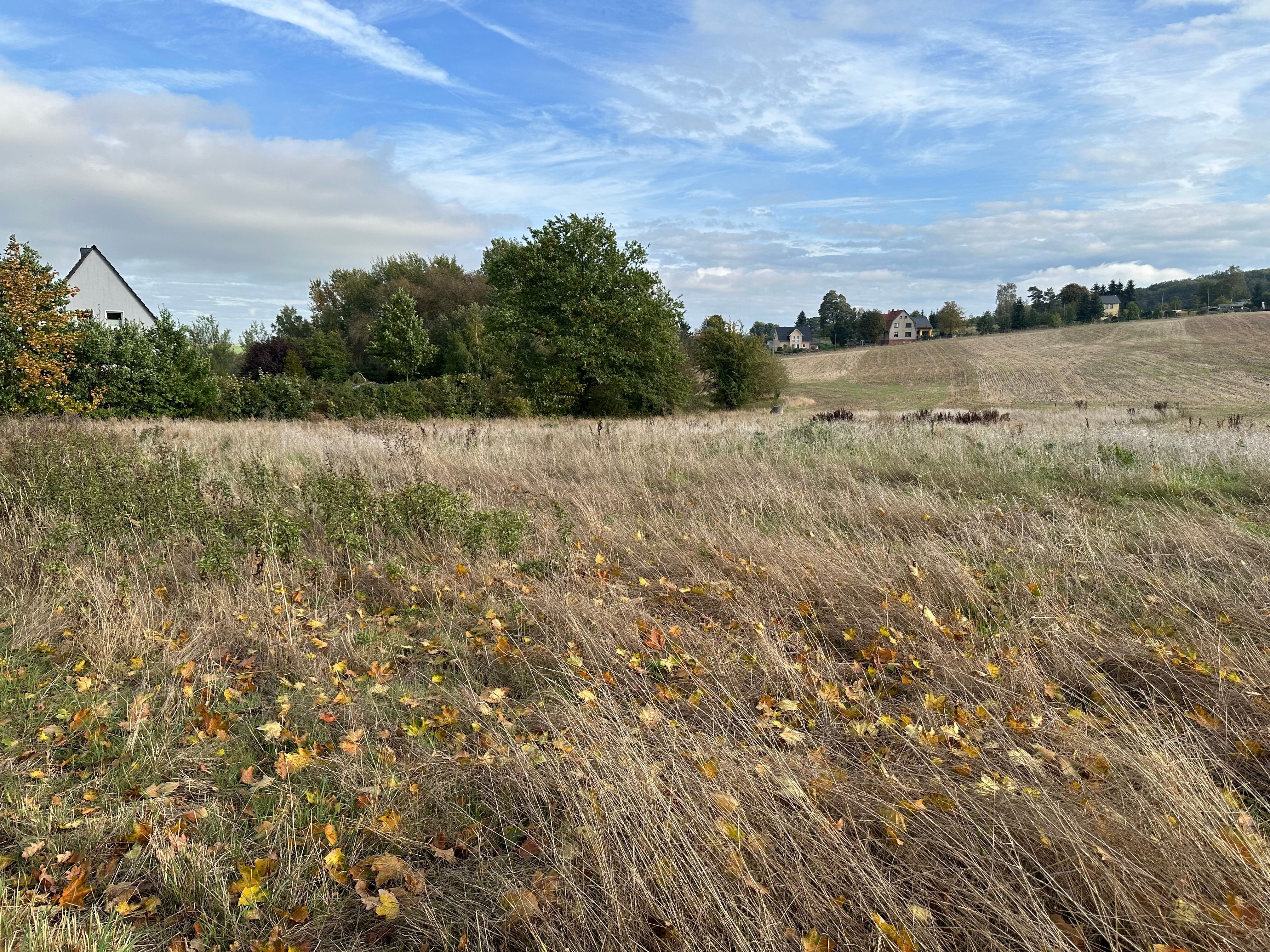 Grundstück zum Kauf 2.600 m²<br/>Grundstück Reichenbach Reichenbach 08468