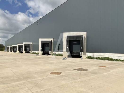 Halle/Industriefläche zur Miete provisionsfrei 9.918 m² Lagerfläche teilbar ab 9.751 m² Stürzelberg Dormagen 41541