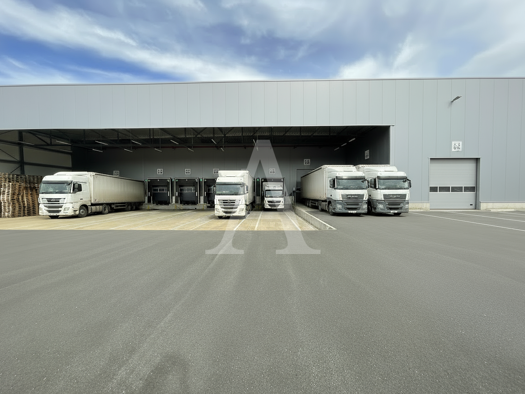 Halle/Industriefläche zur Miete 9.080 m² Lagerfläche teilbar ab 5.000 m² Aachen 52068