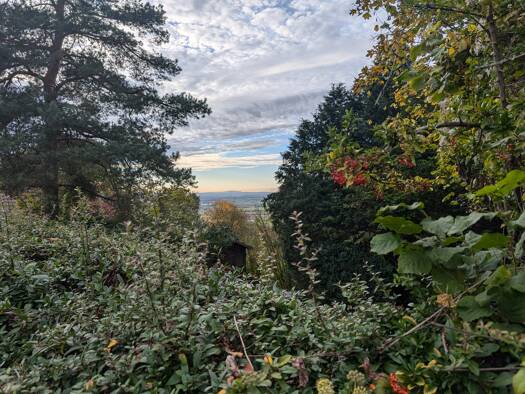 Mehrfamilienhaus zum Kauf als Kapitalanlage geeignet 885.000 € 267 m² 900 m² Grundstück Schriesheim 69198