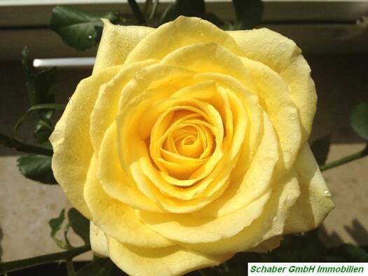 Wohnung zur Miete 400 € 4 Zimmer 65 m² Raguhner Straße 2 Jeßnitz 06800