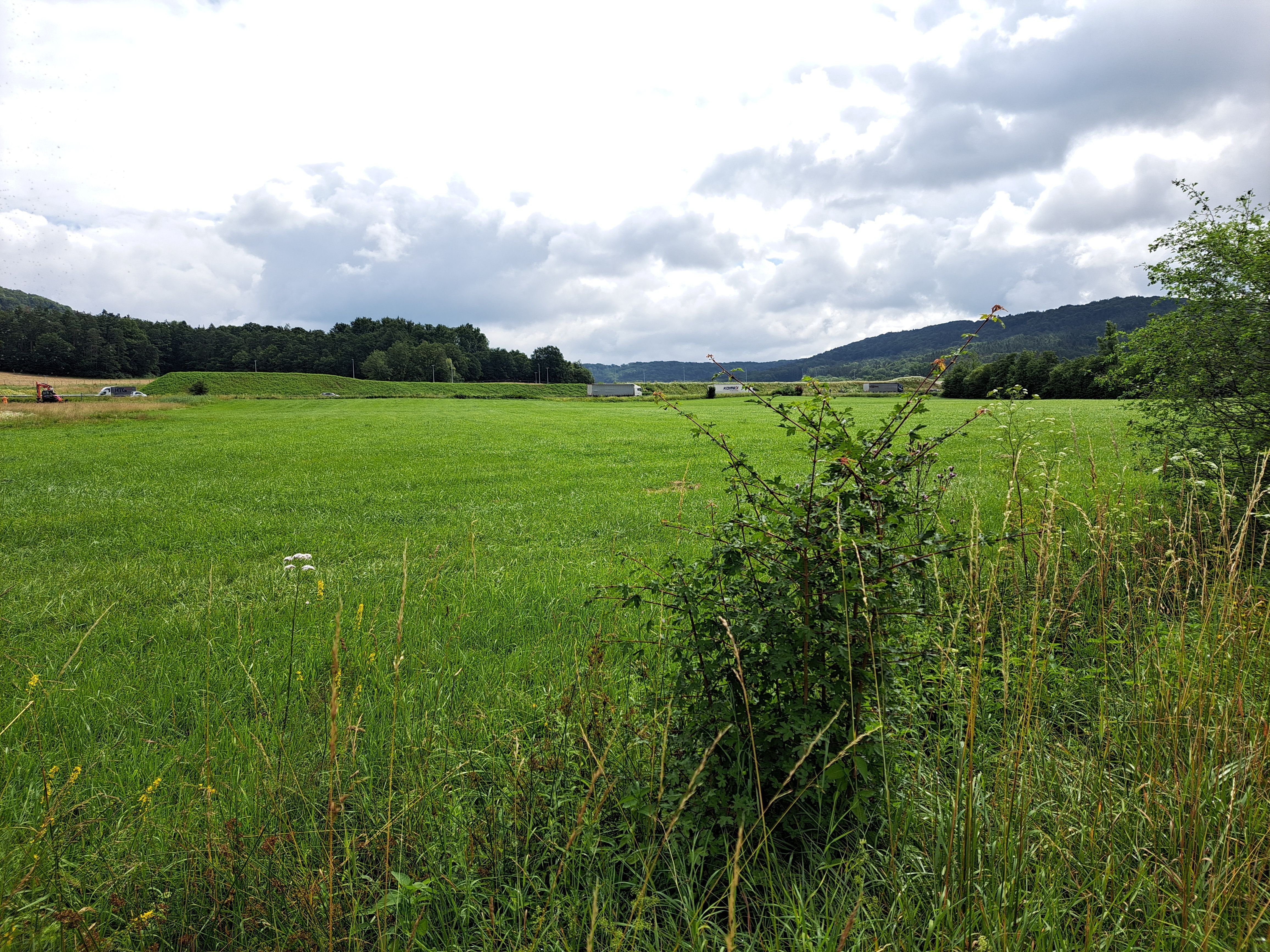 Grundstück zum Kauf 35.116 m²<br/>Grundstück Berg Berg bei Neumarkt in der Oberpfalz 92348