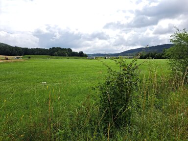 Grundstück zum Kauf 35.116 m² Grundstück Berg Berg bei Neumarkt in der Oberpfalz 92348