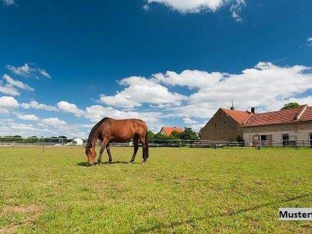 Lagerhalle zum Kauf 224.000 € Andernach 56626