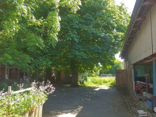 Haus zum Kauf 470.000 € 6 Zimmer 200 m² 3.000 m² Grundstück Eggstedt 25721