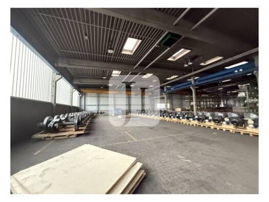 Lagerhalle zur Miete 7.800 m² Lagerfläche teilbar ab 7.800 m² Büdelsdorf 24782