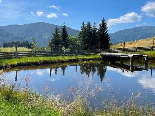 Land-/Forstwirtschaft zum Kauf 519.325 m² Grundstück Himmelberg 9562