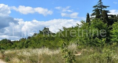 Land-/Forstwirtschaft zum Kauf 105.000 € Permani