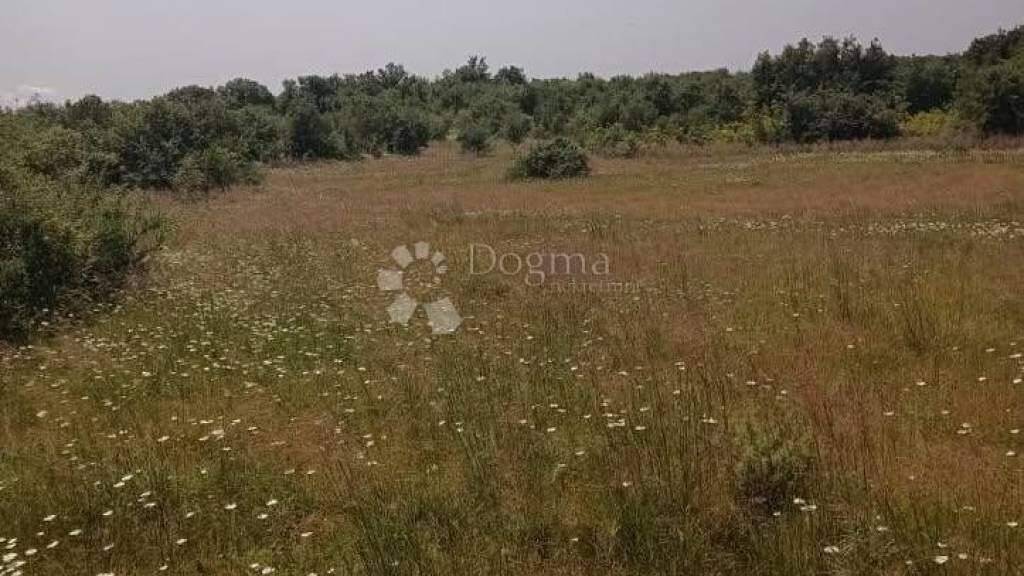 Land-/Forstwirtschaft zum Kauf 382.100 € Bale