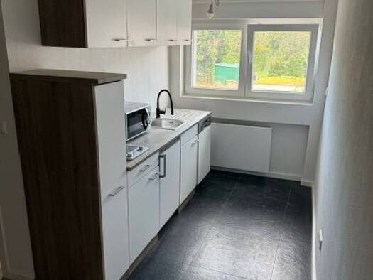 Wohnung zur Miete 540 € 1 Zimmer 36,6 m² frei ab 01.12.2026 Neusatz Bühl 77815