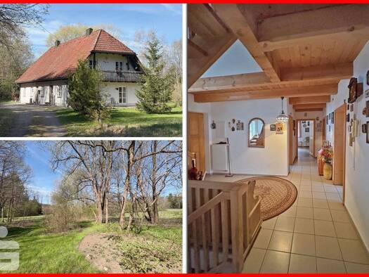 Einfamilienhaus zum Kauf 390.000 € 8 Zimmer 220 m² 17.798 m² Grundstück Dampfsäge Lindberg 94227