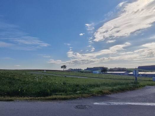 Gewerbegrundstück zum Kauf 932.850 € 6.219 m² Grundstück Buchkirchen 4611