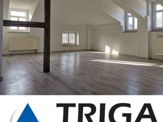 Wohnung zur Miete 528 € 2 Zimmer 88,1 m² 2. Geschoss Nordhausen 99734