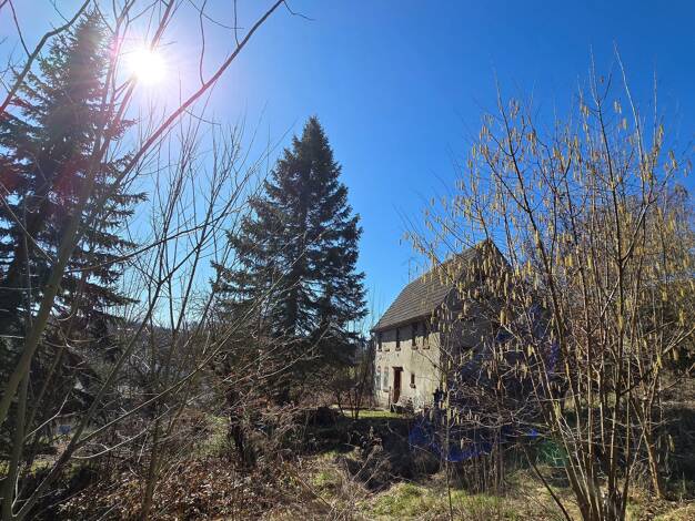 Immobilie zum Kauf 59.000 € 3 Zimmer 120 m² 1.760 m² Grundstück Thierbach Penig 09322