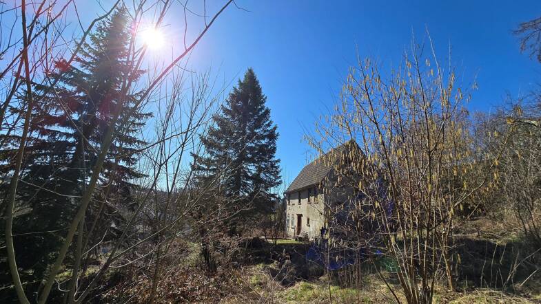 Immobilie zum Kauf 59.000 € 3 Zimmer 120 m² 1.760 m² Grundstück Thierbach Penig 09322