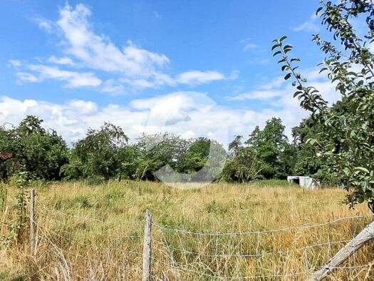 Büro zur Miete Schlierbach 73278