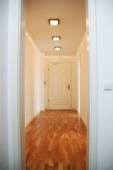 Wohnung zur Miete 430 € 2 Zimmer 63 m² 2. Geschoss Lohrstraße 16 Schloßchemnitz 020 Chemnitz 09113