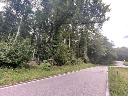 Forstwirtschaft zum Kauf 46.000 € 15.483 m² Grundstück L 135 Schlächtenhaus 79585