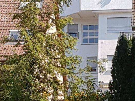 Mehrfamilienhaus zum Kauf provisionsfrei als Kapitalanlage geeignet 19 Zimmer 750 m² 480 m² Grundstück Heilbronn Heilbronn 74074