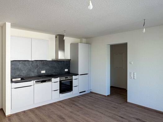 Wohnung zur Miete - Erstbezug 995 € 2 Zimmer 58 m² frei ab sofort Schopenhauerstraße Müllheim Müllheim 79379