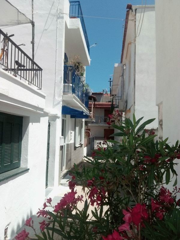 Einfamilienhaus zum Kauf 350.000 € 4 Zimmer 125 m²<br/>Wohnfläche 65 m²<br/>Grundstück Skiathos 37002