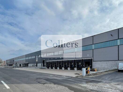 Lagerhalle zur Miete - Erstbezug 6,25 € 26.356 m² Lagerfläche teilbar ab 338 m² Gifhorn 38518