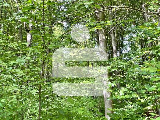 Land-/Forstwirtschaft zum Kauf 35.000 € 9.640 m² Grundstück Pursruck Freudenberg 92272