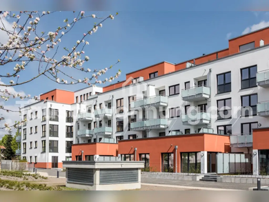 Wohnung zur Miete Tauschwohnung 690 € 2 Zimmer 55 m² 1. Geschoss Auerberg Bonn 53117