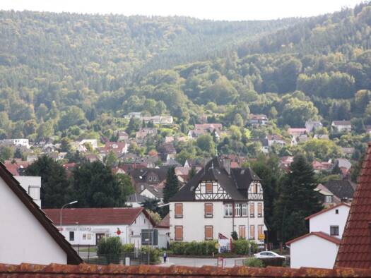 Wohnung zur Miete 770 € 3,5 Zimmer 81 m² Geschoss 2/3 frei ab 01.12.2025 Bürgstadt 63927
