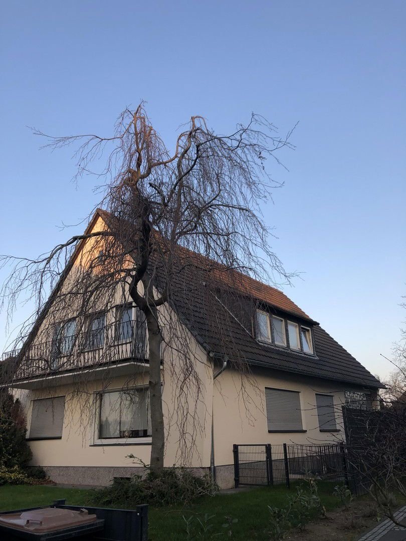 Einfamilienhaus zum Kauf provisionsfrei 980.000 € 9 Zimmer 266,3 m²<br/>Wohnfläche 958 m²<br/>Grundstück Langel Köln 51143