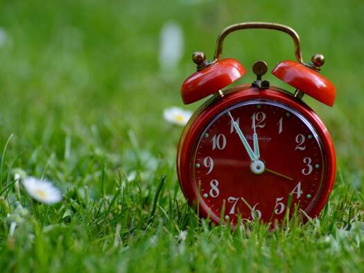 Gewerbegrundstück zum Kauf 270.000 € 676 m² Grundstück Wettstetten 85139