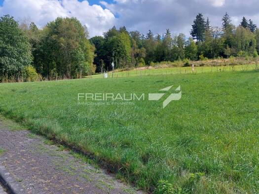 Grundstück zum Kauf 129.000 € 1.669 m² Grundstück Hainchen Netphen 57250