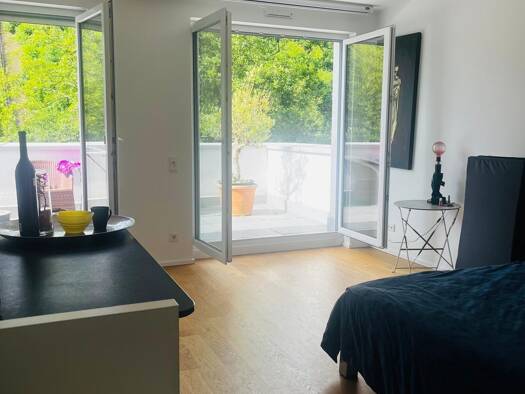 Penthouse zum Kauf provisionsfrei 229.000 € 1 Zimmer 43,5 m² Geschoss -3/3 frei ab 01.09.2026 Olewig Trier 54295