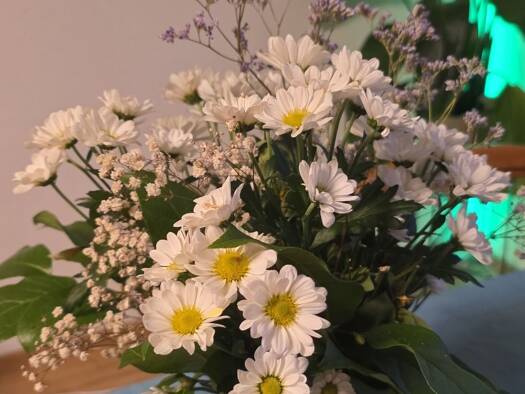 Studio zur Miete auf Zeit 400 € 1 Zimmer 50 m² frei ab 01.05.2026 Nevigeser Straße Tönisheide Velbert 42553